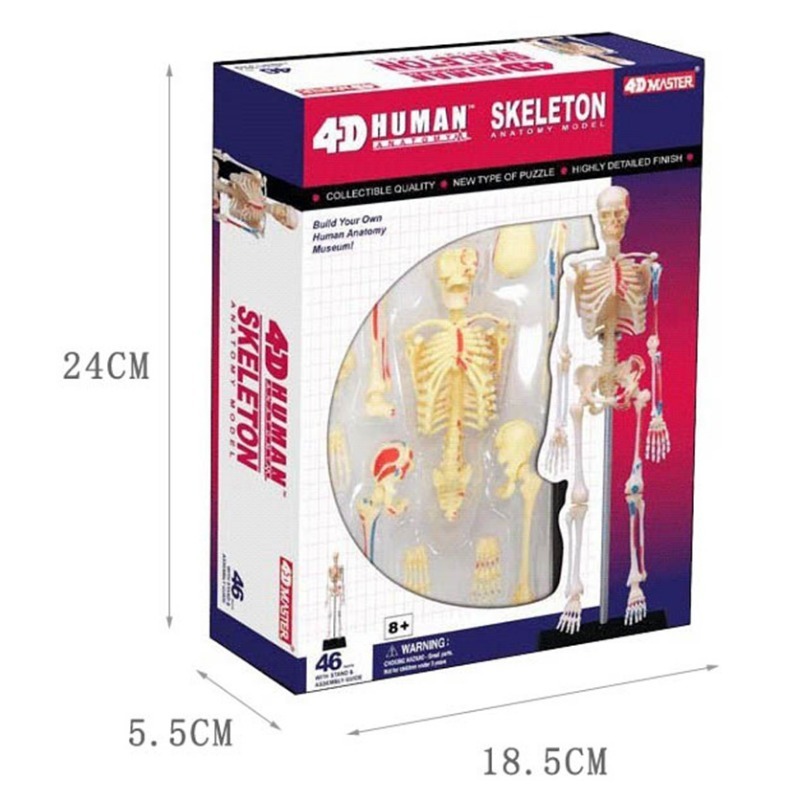 4d Manusia Kerangka Penuh Mode - Medical Lab Technology ulasan dan harga
